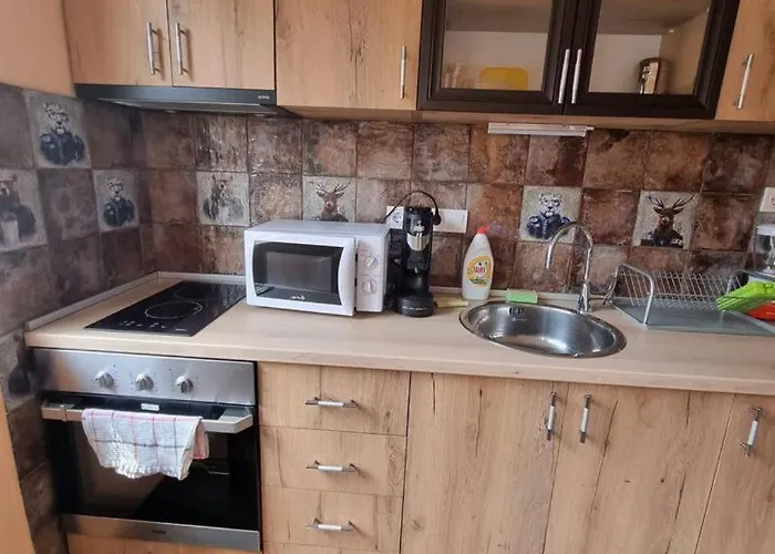 Апартамент Плевен